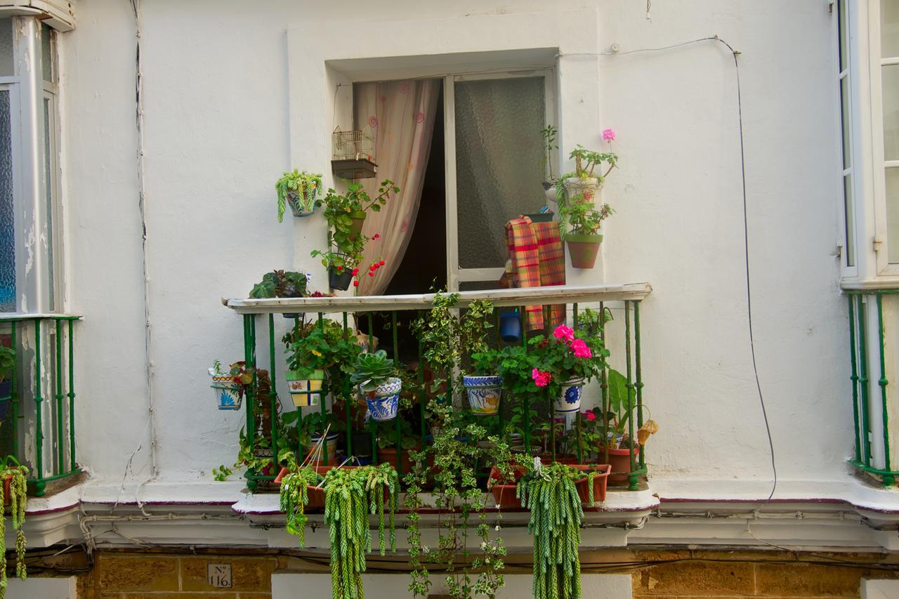 Spanish Galleon Lodge Cadice Esterno foto